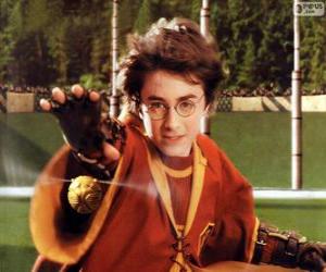 Harry Potter throwing a ball puzzle