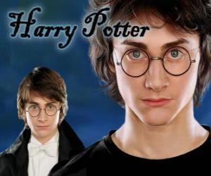 Harry Potter puzzle