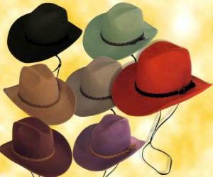 Hats of various colors puzzle