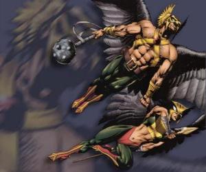 Hawkman or Hawkgirl puzzle