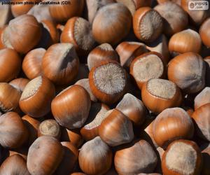 Hazelnuts puzzle