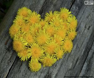 Heart formed by dandelion puzzle