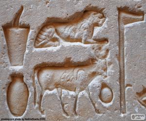 Hieroglyphic carvings puzzle