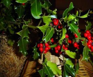 Holly with red berries puzzle