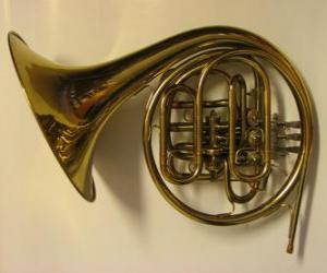 Horn or French horn, brass instrument puzzle