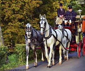 Horse carriage puzzle