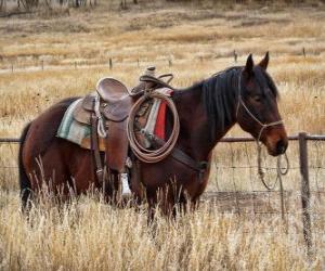 Horse of a cowboy puzzle