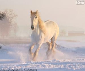 Horse running on the snow puzzle