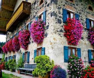 House in the spring with flowers in the windows puzzle