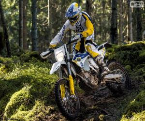 Husqvarna FE 501 2015 puzzle