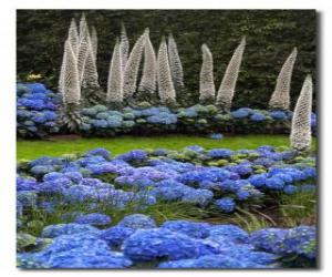 Hydrangeas and exotic flowers puzzle