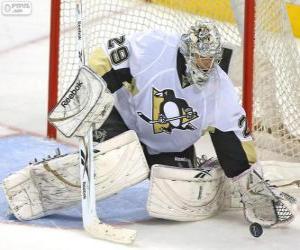 Ice-hockey goaltender puzzle