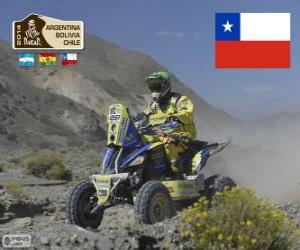 Ignacio Casale, Dakar 2014 puzzle