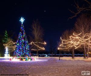 Illuminated christmas trees puzzle