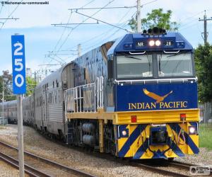Indian Pacific puzzle
