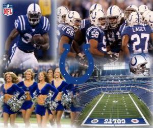 Indianapolis Colts puzzle