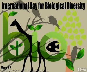 International Day for Biological Diversity puzzle