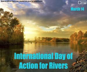 International Day of Action for rivers puzzle