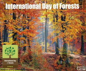 International Day of Forests puzzle