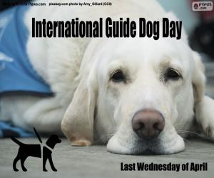 International Guide Dog Day puzzle