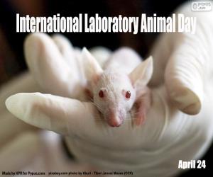 International Laboratory Animal Day puzzle