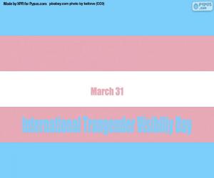 International Transgender Visibility Day puzzle