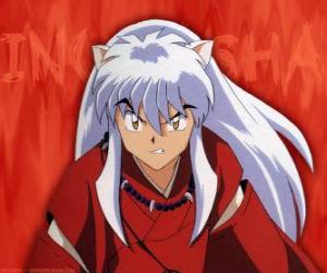 InuYasha is the main protagonist of the adventures. He is a half-demon, born to a dog demon father and a human mother puzzle