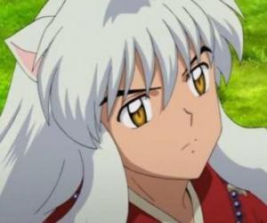 Inuyasha's head with his long hair puzzle