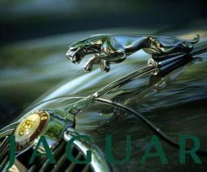 Jaguar logo, British brand of luxury cars and sports cars puzzle