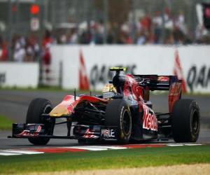 Jaime Alguersuari - Toro Rosso - Melbourne 2010 puzzle