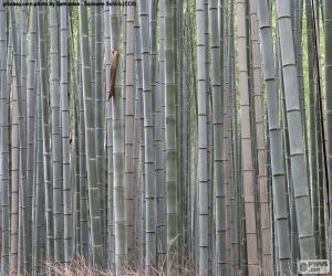 Japanese bamboo forest puzzle