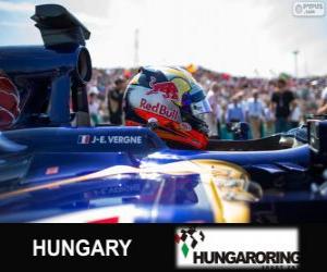 Jean-Eric Vergne - Toro Rosso - Hungaroring, 2013 puzzle