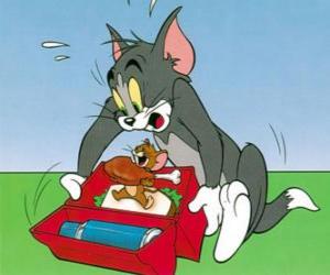 Jerry eats Tom picnic puzzle