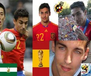 Jesus Navas (the bird mad and the nerve of the selection) Spanish National Team forward puzzle
