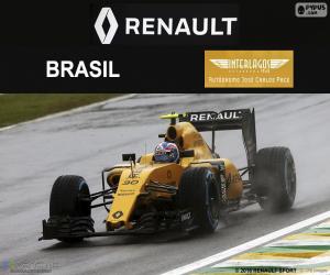 Jolyon Palmer 2016 Brazilian Grand Prix puzzle