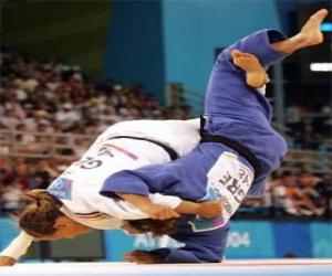 Judo - Two j&#363;d&#333;kas practicing puzzle