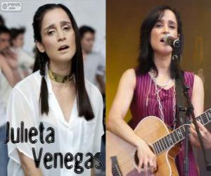 Julieta Venegas, is a Mexican singer puzzle