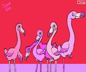 Julieta Vitali's flamingos puzzle