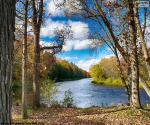 Jumbo River, United States puzzle