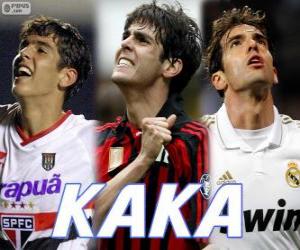 Kaká puzzle