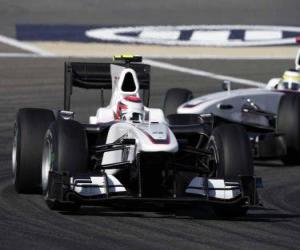 Kamui Kobayashi - BMW Sauber - Bahrain 2010 puzzle