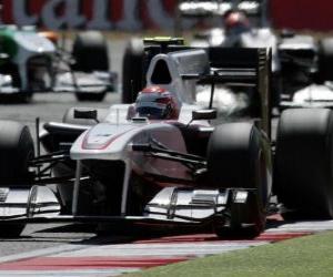 Kamui Kobayashi-Sauber - Silverstone 2010 puzzle