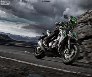 Kawasaki Z1000 2014 puzzle