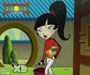 Kimiko Tohomiko, Xiaolin Dragon of Fire, the only girl in the team puzzle