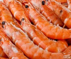 King prawns puzzle