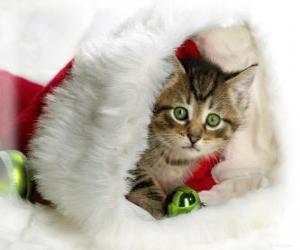 Kitten in Santa's cap puzzle