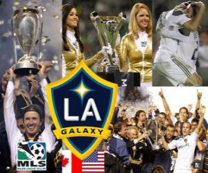 LA Galaxy, 2011 MLS champion puzzle