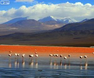 Laguna Colorada, Bolivia puzzle