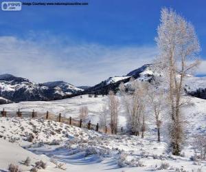 Lamar Valley, Yellowstone National Park, Wyoming, United States puzzle