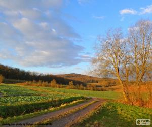 Landscape Field puzzle